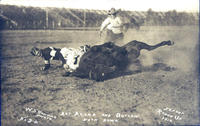 Art Acord and Outlaw, Both Down, Try Out, [Pendleton] Round Up, 1914