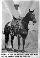 Buster, a son of Clabber which Ike Rude (in the saddle) used to rope on