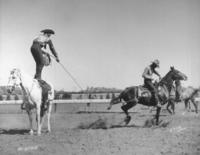 [Junior Eskew standing atop horse catching a passing Mefford?]