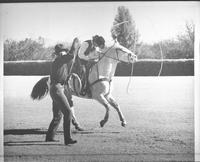 [Jack Webb roping perhaps Glorene Tindall as she passes by on horse]