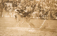 Lafe Lewman Bulldogging a Texas Longhorn, [Pendleton] Round Up