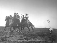 D.H. Biron making four horse head stand catch, season