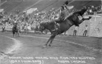 Homer Ward Making Wild Ride, Tex Austin's Rodeo, Chicago