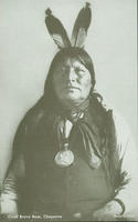Chief Brave Bear, Cheyenne