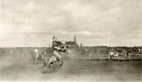 [Unidentified rider wearing wooly chaps atop bucking bronc]