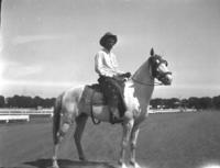 [Possibly Johnnie Davis posed on horse]