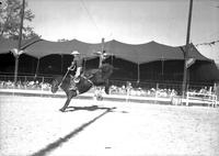 [Unidentified cowboy riding saddle bronc in front of tent-shaded bleechers]
