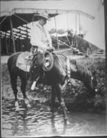 Col. Joe Miller mounted - Horse drinking