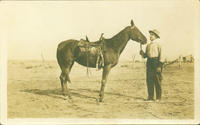 [Cowboy (W.D.O.) and his horse, saddle]