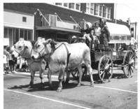 [Ox team pulling wagon "Oklahoma or Bust 1889]