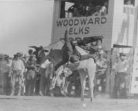 [Cowboy falling from Bull at Woodward Elks Rodeo]