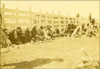 [Indian women, men,children sitting on ground, backs to the corral fencing at butchering scene]