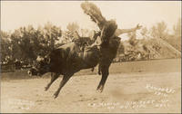 C. E. Morton Six Feet Up on Bucking Bull, Round Up, 1914