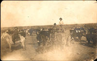 [Cowboys, cattle and wagon]