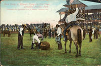 Ikua Purdy of Hawaii, Tying his First Steer, Cheyenne Frontier Park