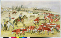 Ranch Scene (Roping Cattle)