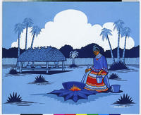 Seminole Cook