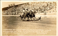 Leonard Stroud Roping Four Horses While Standing on His Head, Tex Austin Rodeo, Chicago