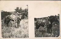 Fred Weldin, Tripp County Cow Boy, South Dak., Aug. 29, 1910