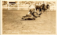 Jack Kerscher Bulldogging, Tex Austin Rodeo, Chicago