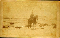 Wounded Knee Creek, soldier on horse 