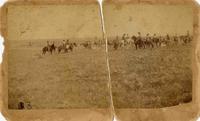 [Cowboys on horseback branding cattle] L. F. Feagius