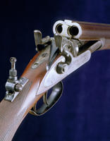 Colt Double Rifle