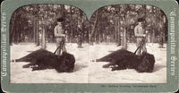 Buffalo Hunting, Yellowstone Park