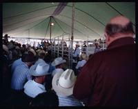 Y O Ranch Auction