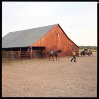 Lambshead Ranch