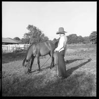 Brislawn donating mustangs/Prior to '69