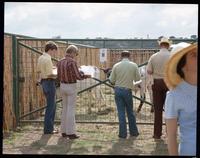 Y O Ranch Auction