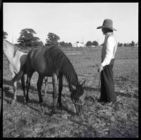 Brislawn donating mustangs/Prior to '69