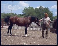 Lambshead Ranch