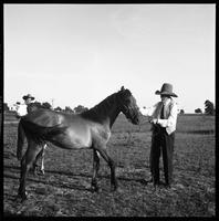 Brislawn donating mustangs/Prior to '69