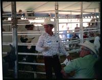 Y O Ranch Auction