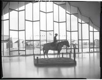 [photograph of an exhibit of a Union soldier on horseback]