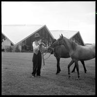 Brislawn donating mustangs/Prior to '69