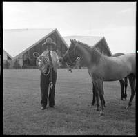 Brislawn donating mustangs/Prior to '69