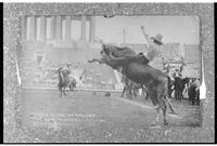 Sundown-Hall-Rollins/Clyde Cline Bull-Chicago