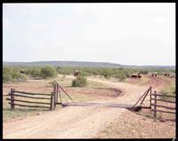 Lambshead Ranch