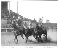 Clay Carr Bulldogging Phoenix, Arizona Feb. 12-15, 1942