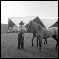 Brislawn donating mustangs/Prior to '69