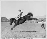 Gerald Roberts on Black Devil  Tucson '47