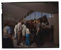 National Cowboy Hall of Fame, Interior, Education Center, Nona Jean Hulsey Rumsey Art Ctr.