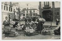 [Flower sellers in the town square]