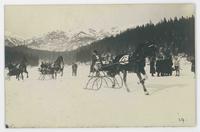 [Horse-drawn sleigh racing]