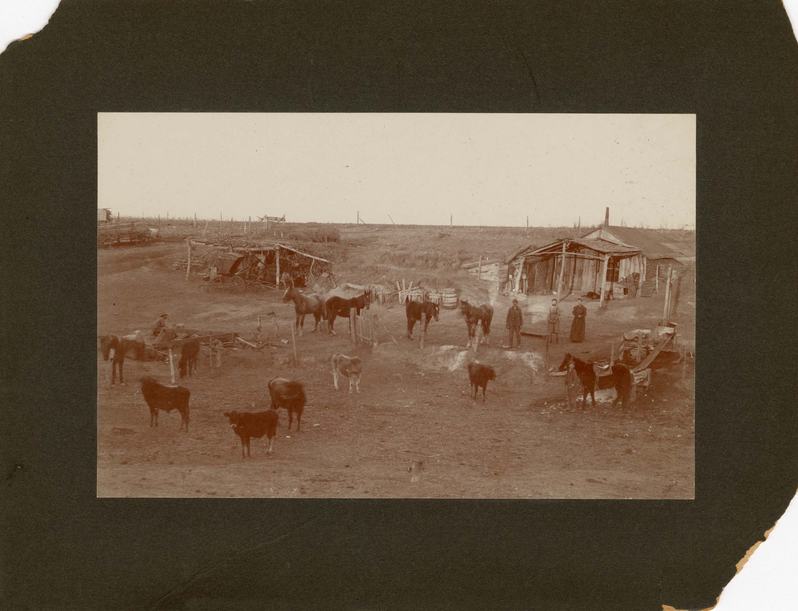 [Andrew J. Harrington homestead, 1880's]