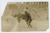 Jasbo Fulkerson on 'Buzzar' Tex Austin Rodeo Chicago 1926