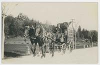 [Stagecoach with two horses and uniformed driver]